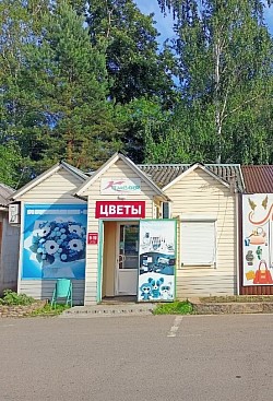 Ул. 50 лет Октября 202 а