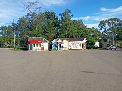 Камелия